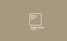 La agencia The Racoons lanzó el Dead Coral Color of The Year 2043, que cree será el verdadero color de éstos animales si no cuidamos el ambiente.